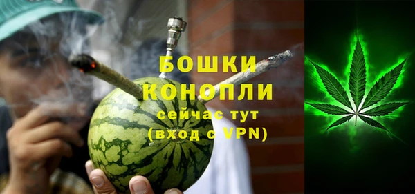 прущие грибы Белоозёрский