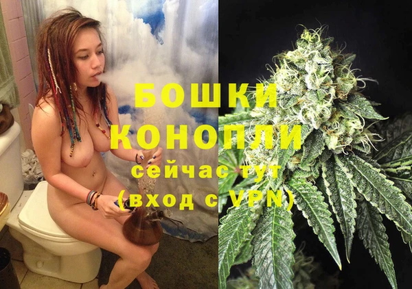 прущие грибы Белоозёрский